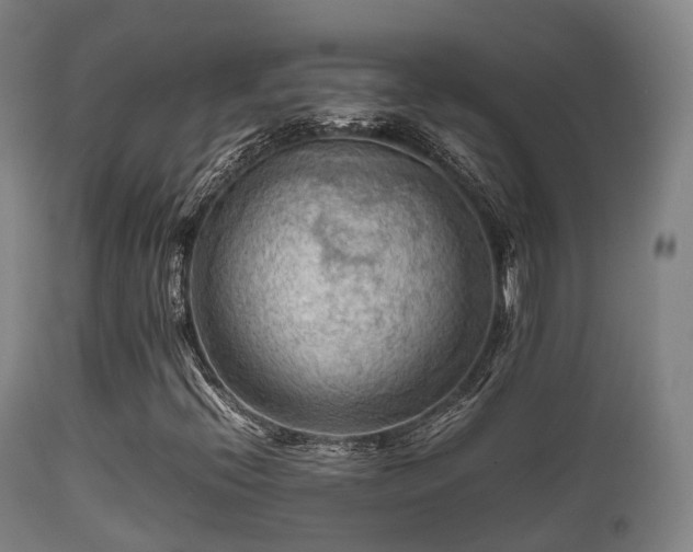 X0000112091396200908111341