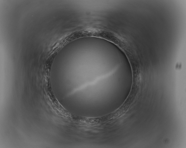 X0000112091397200908111341