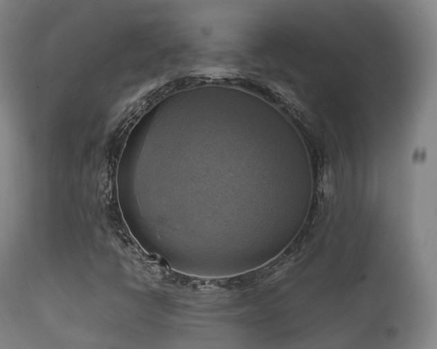 X0000112091398200908111341