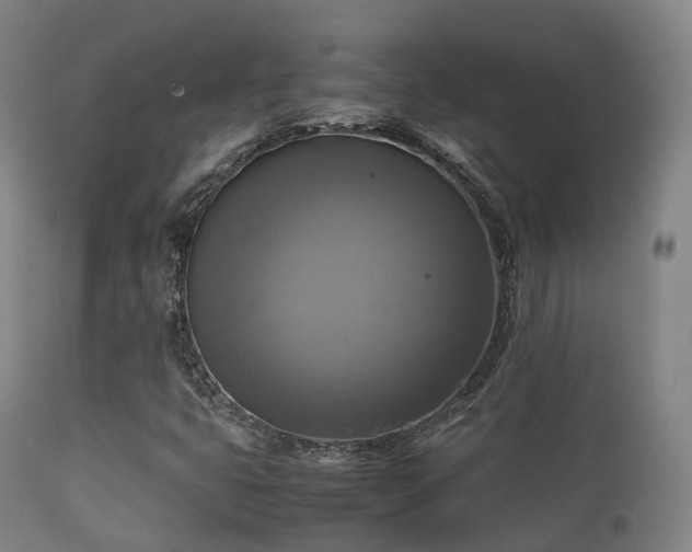 X0000112091399200908111341