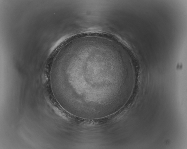 X0000112091400200908111341