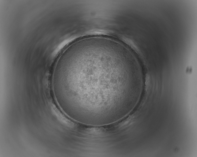 X0000112091404200908111341