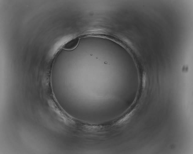 X0000112091405200908111341