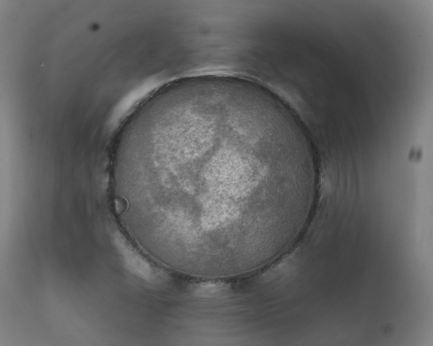 X0000112091406200908111341