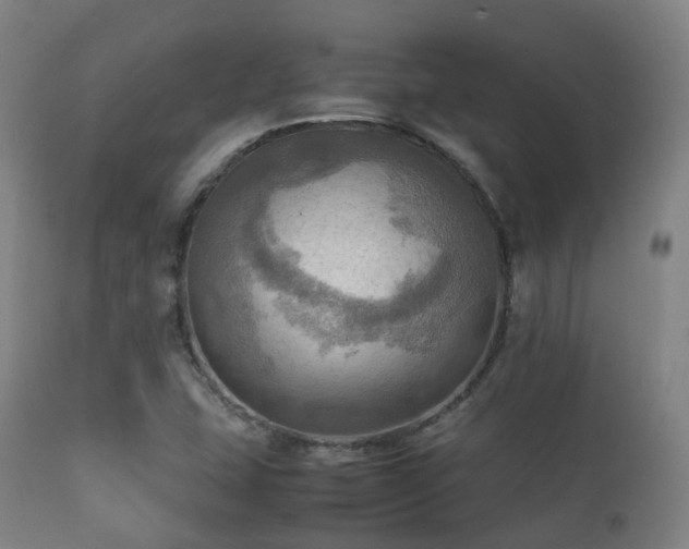 X0000112091407200908111341