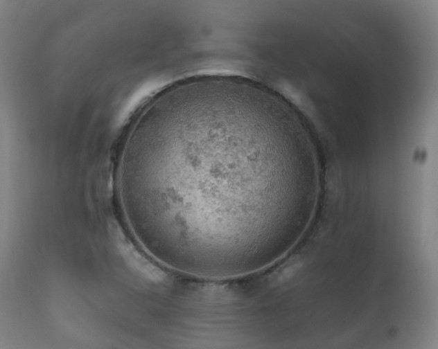 X0000112091408200908111341