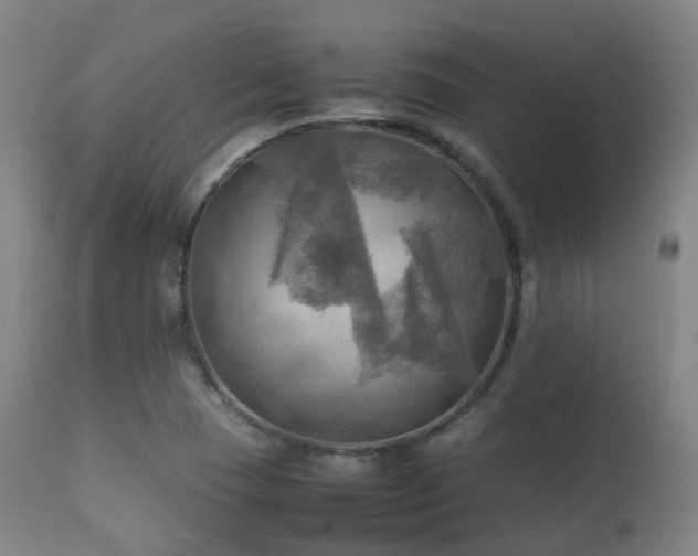 X0000112091409200908111341