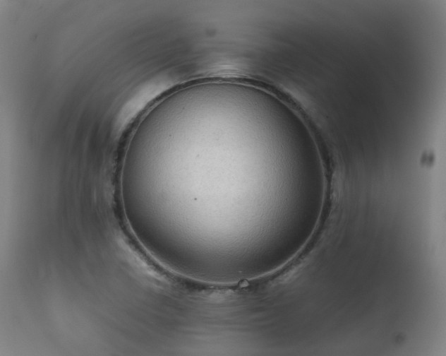 X0000112091410200908111341