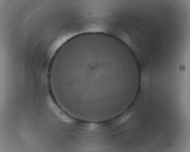 X0000112091412200908111341