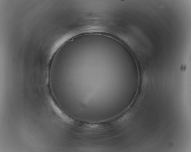 X0000112091413200908111341