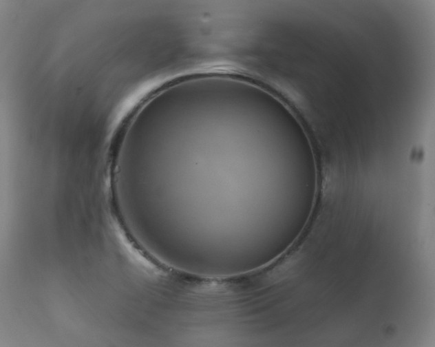 X0000112091414200908111341