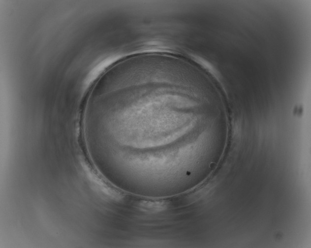 X0000112091415200908111341