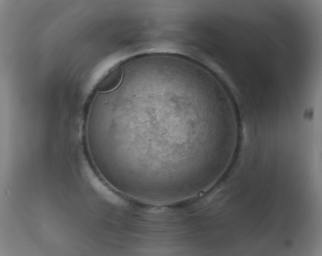 X0000112091416200908111341