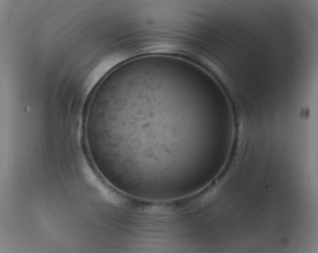 X0000112091418200908111341