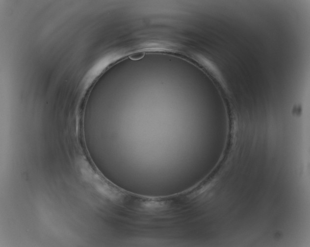 X0000112091419200908111341