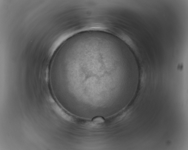 X0000112091420200908111341