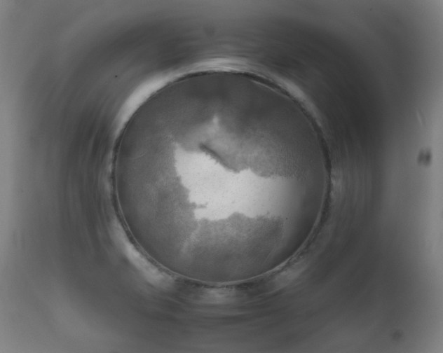 X0000112091421200908111341