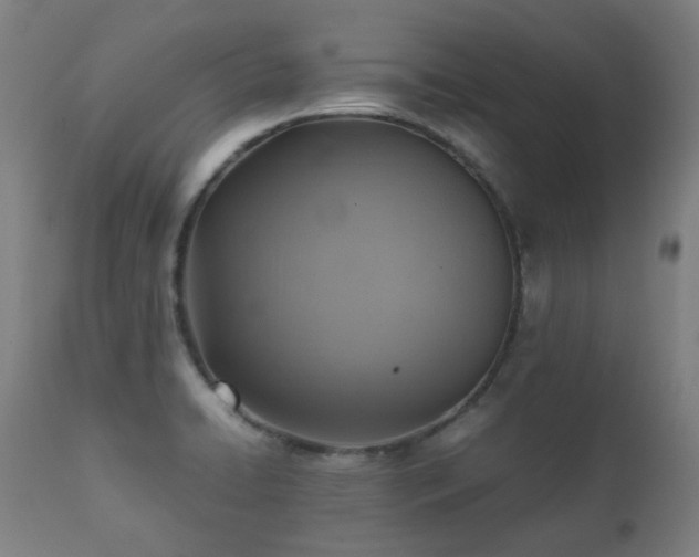 X0000112091422200908111341