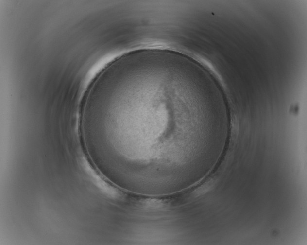 X0000112091424200908111341