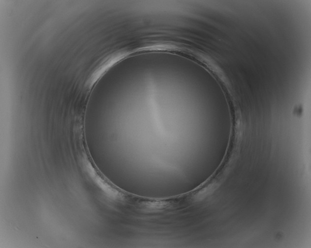 X0000112091425200908111341