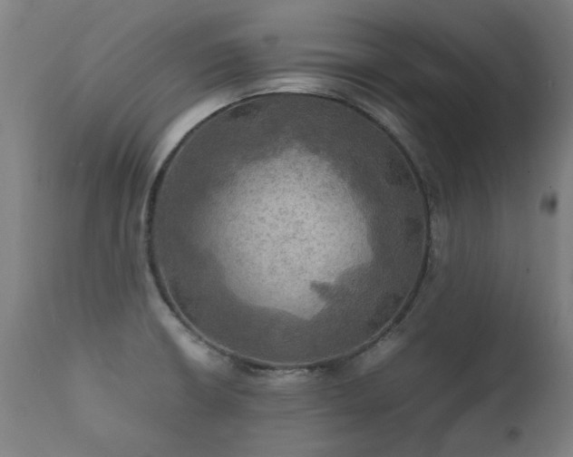 X0000112091426200908111341