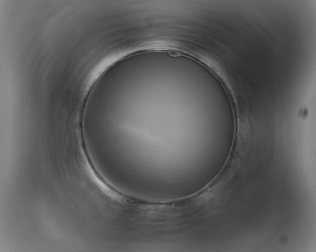 X0000112091429200908111341