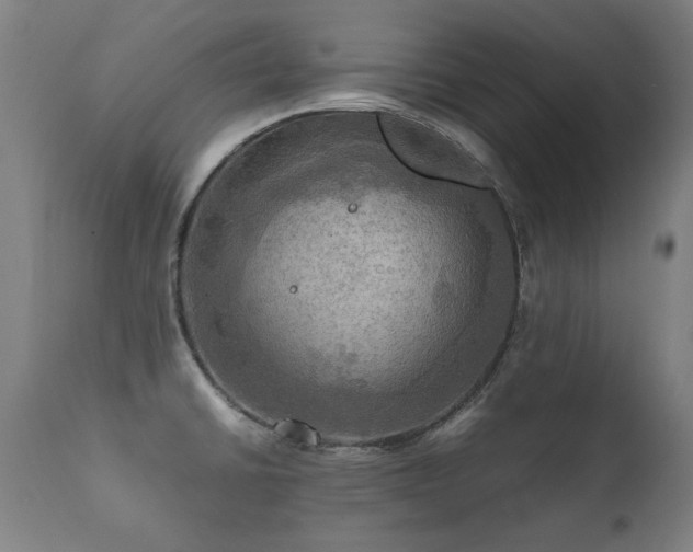 X0000112091430200908111341