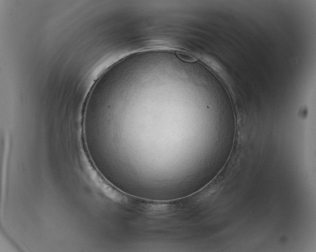 X0000112091431200908111341