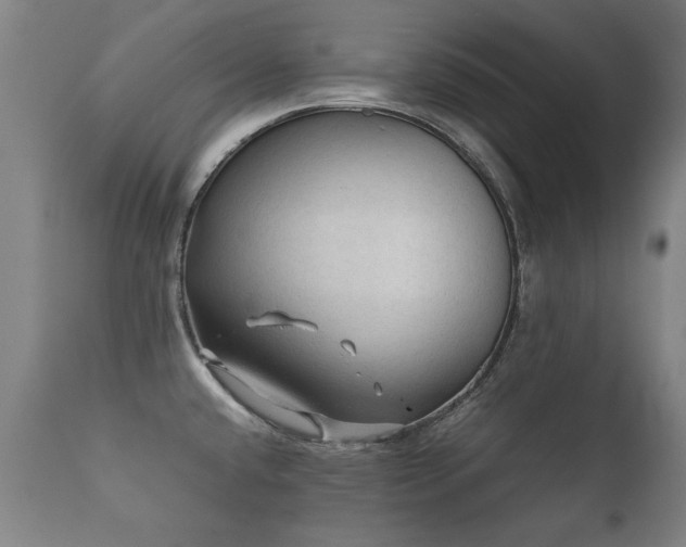 X0000112091432200908111341