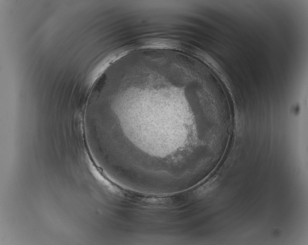 X0000112091433200908111341