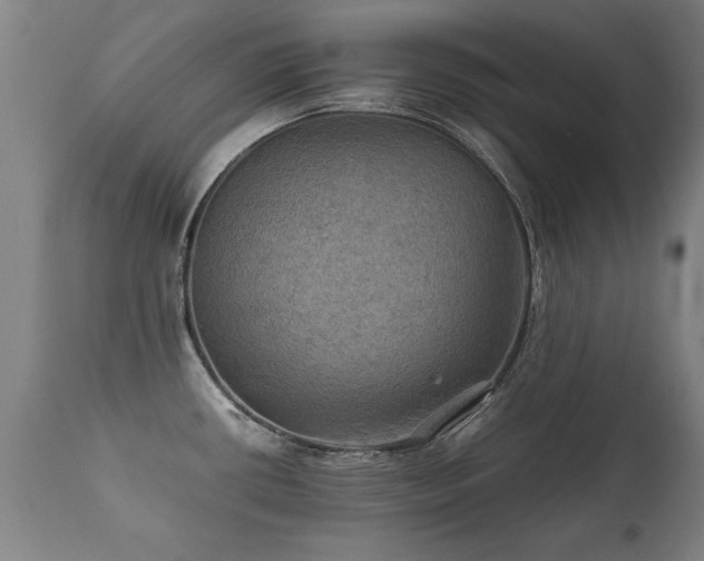 X0000112091434200908111341