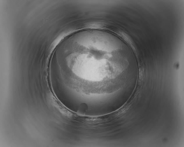 X0000112091435200908111341