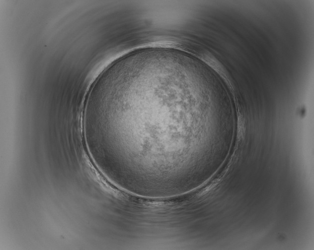 X0000112091436200908111341