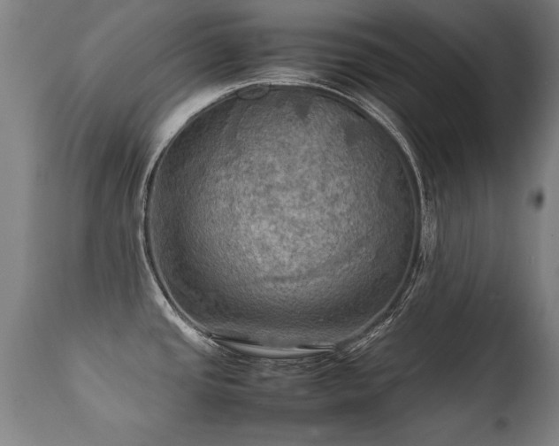 X0000112091437200908111341