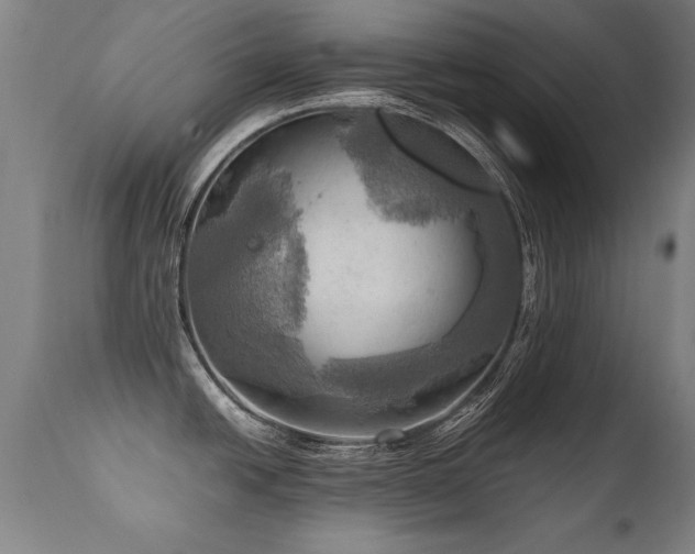 X0000112091438200908111341