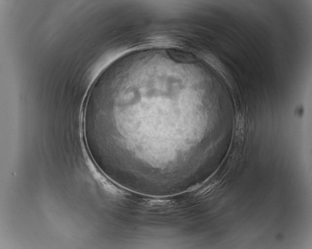 X0000112091439200908111341