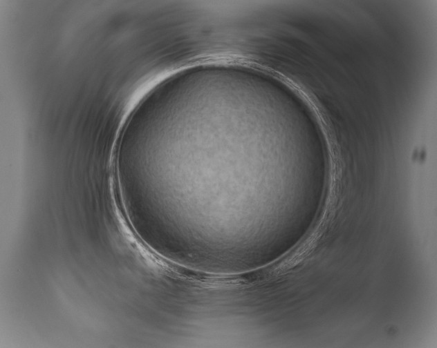 X0000112091440200908111341