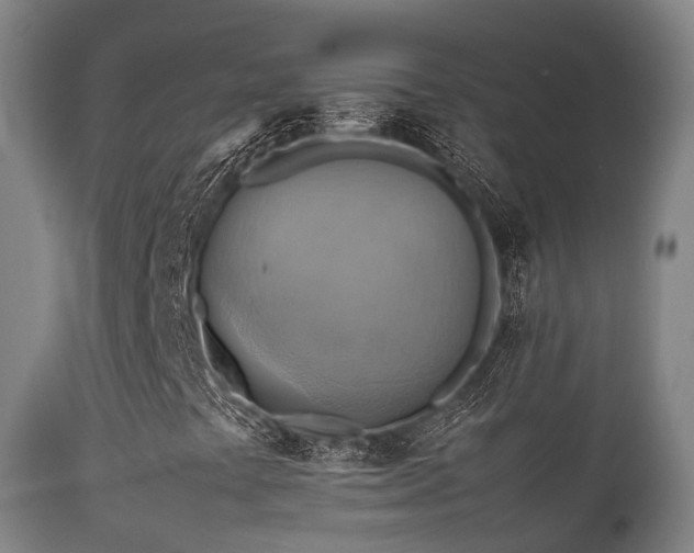 X0000112091441200908111340