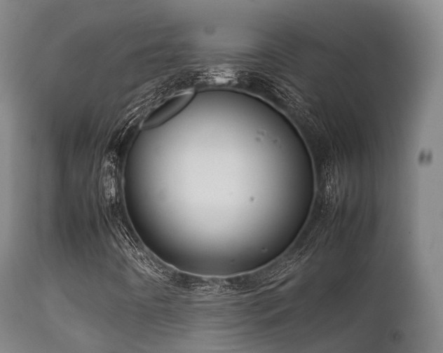 X0000112091442200908111340