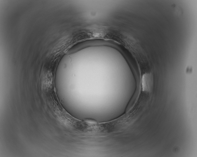 X0000112091443200908111340