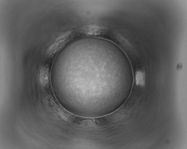 X0000112091444200908111340