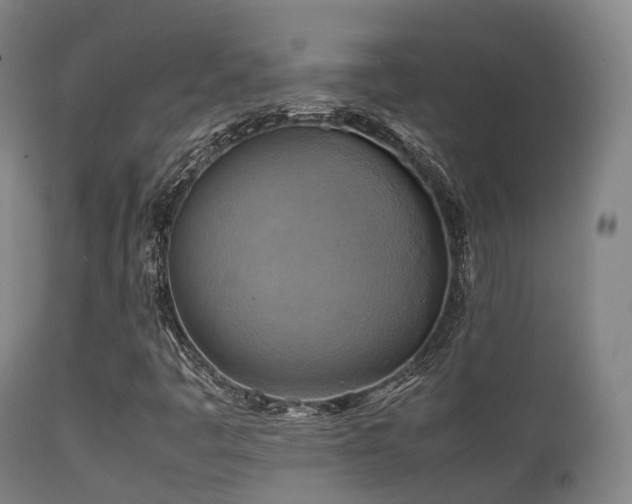 X0000112091445200908111340