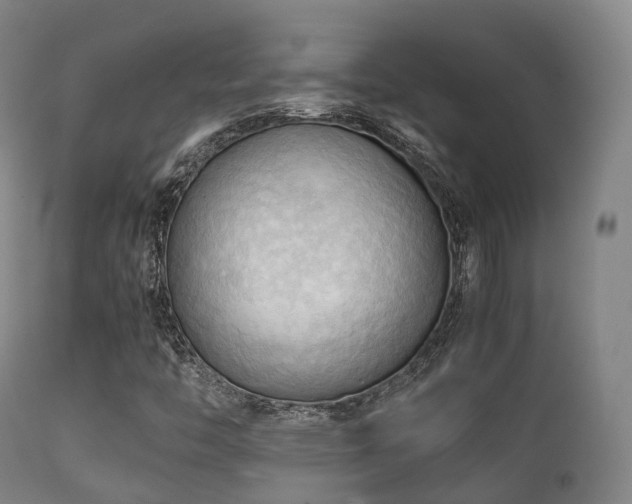 X0000112091446200908111340