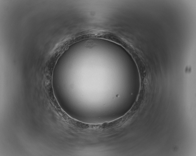 X0000112091447200908111340