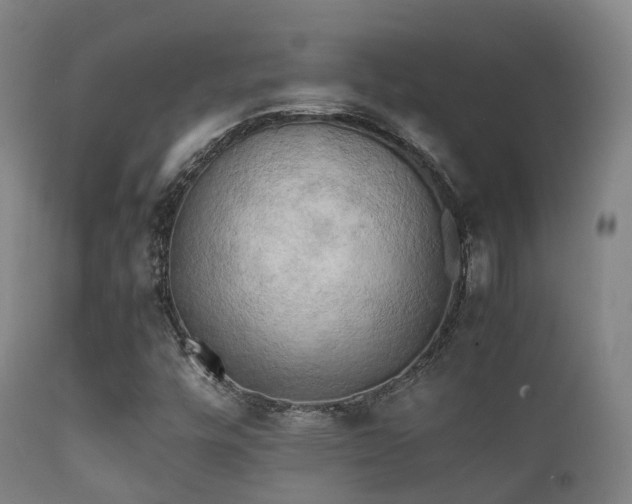 X0000112091448200908111340