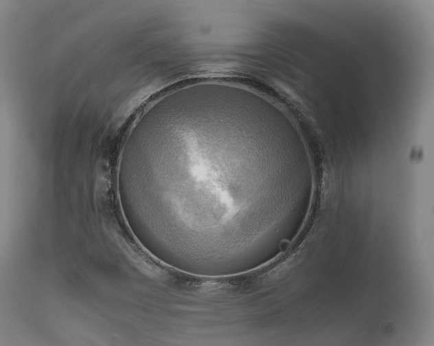 X0000112091449200908111340