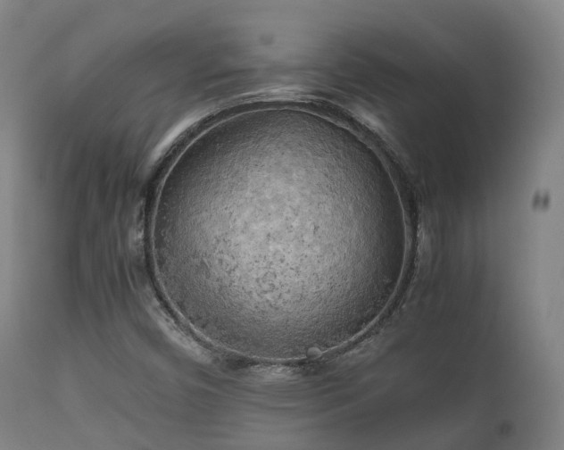 X0000112091450200908111340