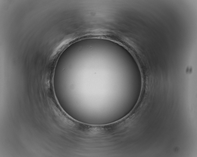 X0000112091451200908111340