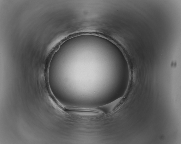 X0000112091452200908111340