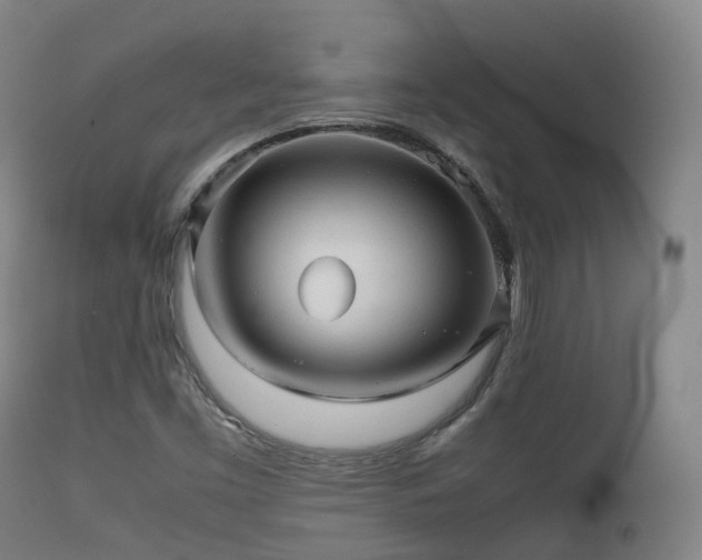 X0000112091453200908111340